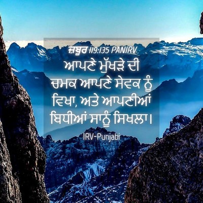 Picture 04 - ਜ਼ਬੂਰ 119:135 PANIRV - ਆਪਣੇ ਮੁੱਖੜੇ ਦੀ ਚਮਕ - Bible Verse Picture