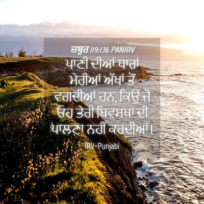 Picture 04 - ਜ਼ਬੂਰ 119:136 PANIRV - ਪਾਣੀ ਦੀਆਂ ਧਾਰਾਂ - Bible Verse Picture