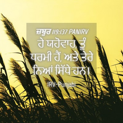 Picture 04 - ਜ਼ਬੂਰ 119:137 PANIRV - ਹੇ ਯਹੋਵਾਹ, ਤੂੰ ਧਰਮੀ - Bible Verse Picture