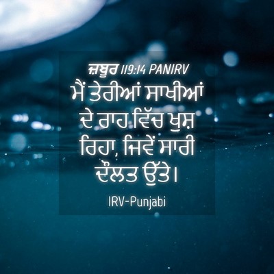 Picture 04 - ਜ਼ਬੂਰ 119:14 PANIRV - ਮੈਂ ਤੇਰੀਆਂ ਸਾਖੀਆਂ - Bible Verse Picture