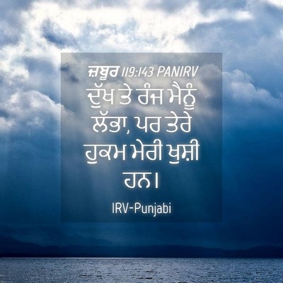 Picture 04 - ਜ਼ਬੂਰ 119:143 PANIRV - ਦੁੱਖ ਤੇ ਰੰਜ ਮੈਨੂੰ - Bible Verse Picture