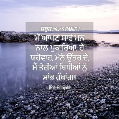 Picture 04 - ਜ਼ਬੂਰ 119:145 PANIRV - ਮੈਂ ਆਪਣੇ ਸਾਰੇ ਮਨ - Bible Verse Picture