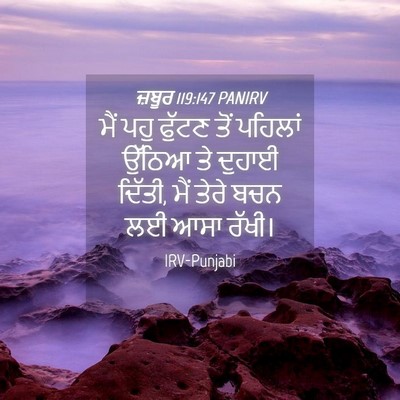 Picture 04 - ਜ਼ਬੂਰ 119:147 PANIRV - ਮੈਂ ਪਹੁ ਫੁੱਟਣ ਤੋਂ - Bible Verse Picture