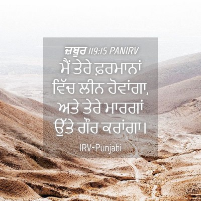 Picture 04 - ਜ਼ਬੂਰ 119:15 PANIRV - ਮੈਂ ਤੇਰੇ ਫ਼ਰਮਾਨਾਂ - Bible Verse Picture