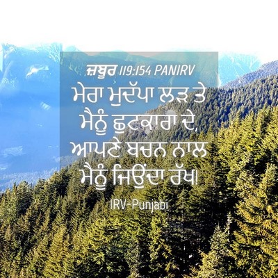 Picture 04 - ਜ਼ਬੂਰ 119:154 PANIRV - ਮੇਰਾ ਮੁਦੱਪਾ ਲੜ ਤੇ - Bible Verse Picture
