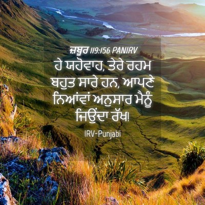 Picture 04 - ਜ਼ਬੂਰ 119:156 PANIRV - ਹੇ ਯਹੋਵਾਹ, ਤੇਰੇ ਰਹਮ - Bible Verse Picture