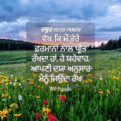 Picture 04 - ਜ਼ਬੂਰ 119:159 PANIRV - ਵੇਖ, ਕਿ ਮੈਂ ਤੇਰੇ - Bible Verse Picture