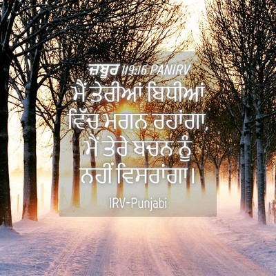 Picture 04 - ਜ਼ਬੂਰ 119:16 PANIRV - ਮੈਂ ਤੇਰੀਆਂ ਬਿਧੀਆਂ - Bible Verse Picture