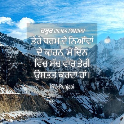 Picture 04 - ਜ਼ਬੂਰ 119:164 PANIRV - ਤੇਰੇ ਧਰਮ ਦੇ - Bible Verse Picture