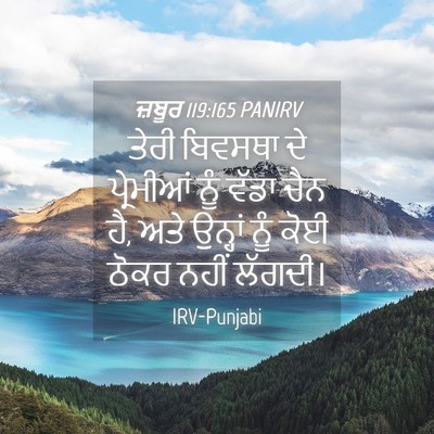Picture 04 - ਜ਼ਬੂਰ 119:165 PANIRV - ਤੇਰੀ ਬਿਵਸਥਾ ਦੇ - Bible Verse Picture