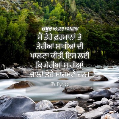 Picture 04 - ਜ਼ਬੂਰ 119:168 PANIRV - ਮੈਂ ਤੇਰੇ ਫ਼ਰਮਾਨਾਂ - Bible Verse Picture