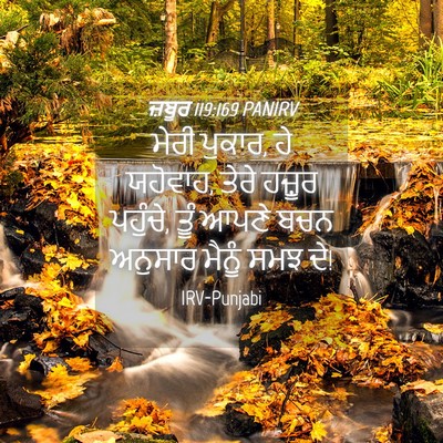 Picture 04 - ਜ਼ਬੂਰ 119:169 PANIRV - ਮੇਰੀ ਪੁਕਾਰ, ਹੇ - Bible Verse Picture