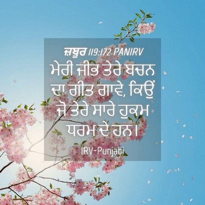 Picture 04 - ਜ਼ਬੂਰ 119:172 PANIRV - ਮੇਰੀ ਜੀਭ ਤੇਰੇ ਬਚਨ - Bible Verse Picture