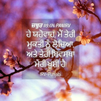 Picture 04 - ਜ਼ਬੂਰ 119:174 PANIRV - ਹੇ ਯਹੋਵਾਹ, ਮੈਂ ਤੇਰੀ - Bible Verse Picture