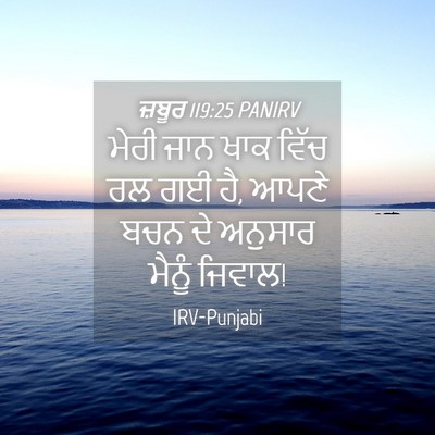 Picture 04 - ਜ਼ਬੂਰ 119:25 PANIRV - ਮੇਰੀ ਜਾਨ ਖਾਕ ਵਿੱਚ - Bible Verse Picture