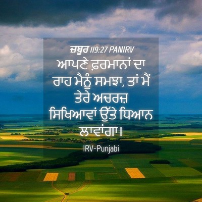 Picture 04 - ਜ਼ਬੂਰ 119:27 PANIRV - ਆਪਣੇ ਫ਼ਰਮਾਨਾਂ ਦਾ - Bible Verse Picture