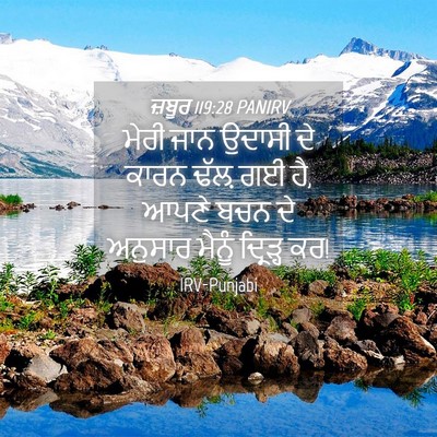 Picture 04 - ਜ਼ਬੂਰ 119:28 PANIRV - ਮੇਰੀ ਜਾਨ ਉਦਾਸੀ ਦੇ - Bible Verse Picture