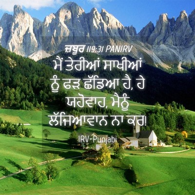 Picture 04 - ਜ਼ਬੂਰ 119:31 PANIRV - ਮੈਂ ਤੇਰੀਆਂ ਸਾਖੀਆਂ - Bible Verse Picture