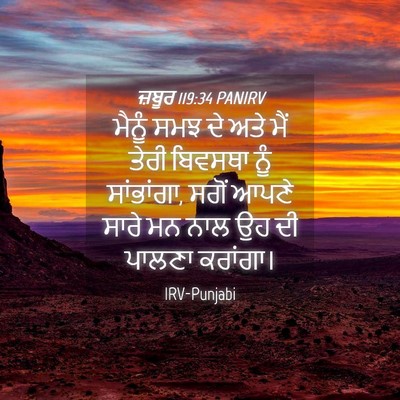 Picture 04 - ਜ਼ਬੂਰ 119:34 PANIRV - ਮੈਨੂੰ ਸਮਝ ਦੇ ਅਤੇ - Bible Verse Picture