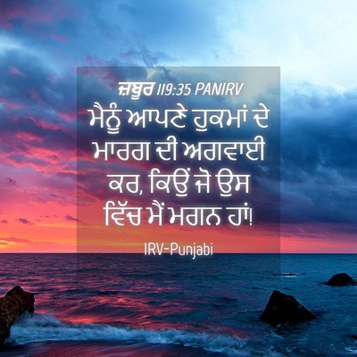 Picture 04 - ਜ਼ਬੂਰ 119:35 PANIRV - ਮੈਨੂੰ ਆਪਣੇ ਹੁਕਮਾਂ - Bible Verse Picture