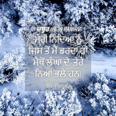 Picture 04 - ਜ਼ਬੂਰ 119:39 PANIRV - ਮੇਰੀ ਨਿੰਦਿਆ ਨੂੰ - Bible Verse Picture
