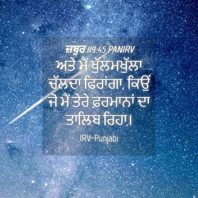 Picture 04 - ਜ਼ਬੂਰ 119:45 PANIRV - ਅਤੇ ਮੈਂ - Bible Verse Picture