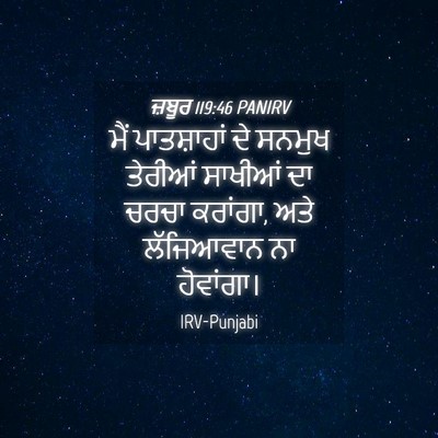 Picture 04 - ਜ਼ਬੂਰ 119:46 PANIRV - ਮੈਂ ਪਾਤਸ਼ਾਹਾਂ ਦੇ - Bible Verse Picture