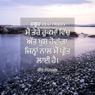 Picture 04 - ਜ਼ਬੂਰ 119:47 PANIRV - ਮੈਂ ਤੇਰੇ ਹੁਕਮਾਂ - Bible Verse Picture