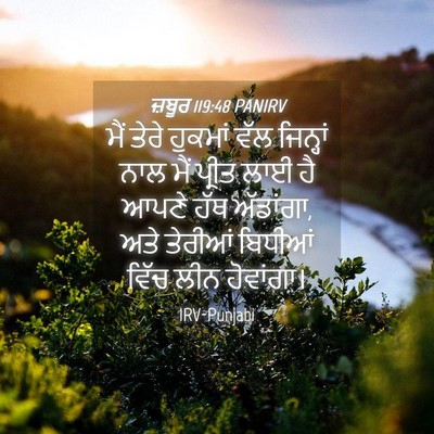 Picture 04 - ਜ਼ਬੂਰ 119:48 PANIRV - ਮੈਂ ਤੇਰੇ ਹੁਕਮਾਂ - Bible Verse Picture