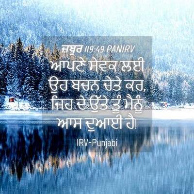 Picture 04 - ਜ਼ਬੂਰ 119:49 PANIRV - ਆਪਣੇ ਸੇਵਕ ਲਈ ਉਹ ਬਚਨ - Bible Verse Picture