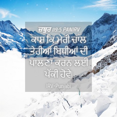 Picture 04 - ਜ਼ਬੂਰ 119:5 PANIRV - ਕਾਸ਼ ਕਿ ਮੇਰੀ ਚਾਲ - Bible Verse Picture