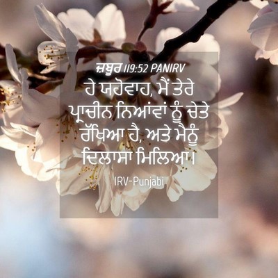 Picture 04 - ਜ਼ਬੂਰ 119:52 PANIRV - ਹੇ ਯਹੋਵਾਹ, ਮੈਂ ਤੇਰੇ - Bible Verse Picture