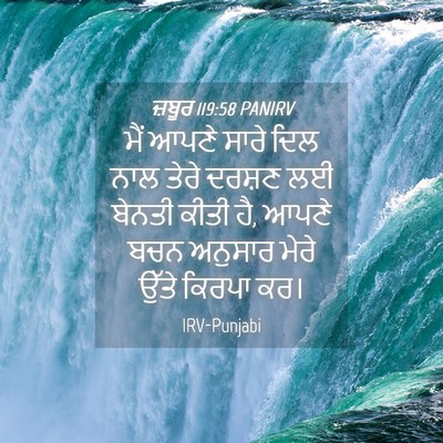 Picture 04 - ਜ਼ਬੂਰ 119:58 PANIRV - ਮੈਂ ਆਪਣੇ ਸਾਰੇ ਦਿਲ - Bible Verse Picture