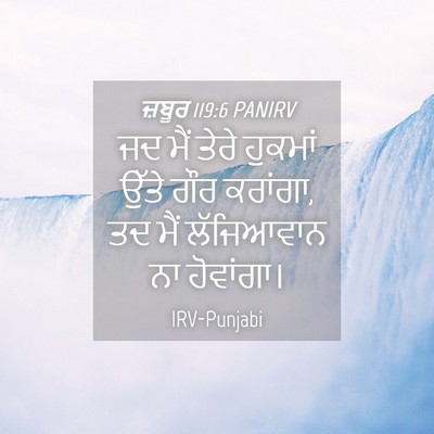 Picture 04 - ਜ਼ਬੂਰ 119:6 PANIRV - ਜਦ ਮੈਂ ਤੇਰੇ ਹੁਕਮਾਂ - Bible Verse Picture