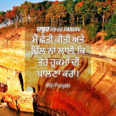 Picture 04 - ਜ਼ਬੂਰ 119:60 PANIRV - ਮੈਂ ਛੇਤੀ ਕੀਤੀ ਅਤੇ - Bible Verse Picture