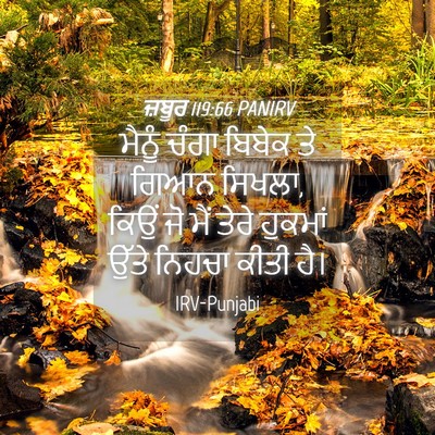 Picture 04 - ਜ਼ਬੂਰ 119:66 PANIRV - ਮੈਨੂੰ ਚੰਗਾ ਬਿਬੇਕ - Bible Verse Picture