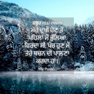 Picture 04 - ਜ਼ਬੂਰ 119:67 PANIRV - ਮੇਰੇ ਦੁਖੀ ਹੋਣ ਤੋਂ - Bible Verse Picture