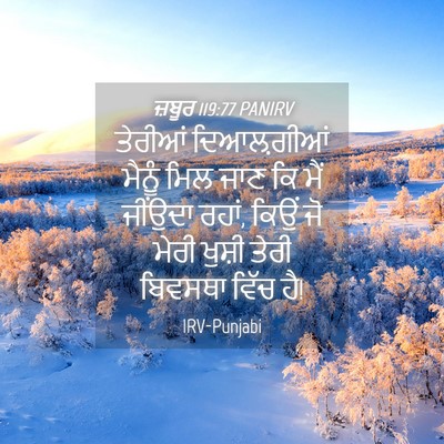 Picture 04 - ਜ਼ਬੂਰ 119:77 PANIRV - ਤੇਰੀਆਂ ਦਿਆਲ਼ਗੀਆਂ - Bible Verse Picture