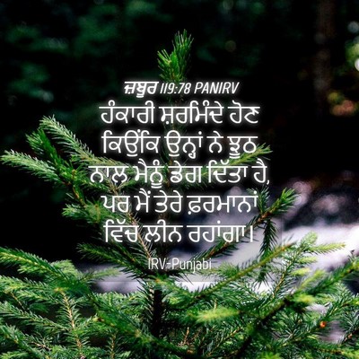 Picture 04 - ਜ਼ਬੂਰ 119:78 PANIRV - ਹੰਕਾਰੀ ਸ਼ਰਮਿੰਦੇ - Bible Verse Picture