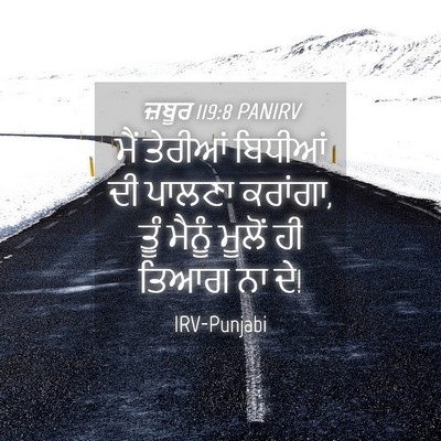 Picture 04 - ਜ਼ਬੂਰ 119:8 PANIRV - ਮੈਂ ਤੇਰੀਆਂ ਬਿਧੀਆਂ - Bible Verse Picture
