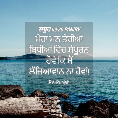 Picture 04 - ਜ਼ਬੂਰ 119:80 PANIRV - ਮੇਰਾ ਮਨ ਤੇਰੀਆਂ - Bible Verse Picture