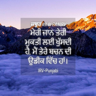 Picture 04 - ਜ਼ਬੂਰ 119:81 PANIRV - ਮੇਰੀ ਜਾਨ ਤੇਰੀ - Bible Verse Picture