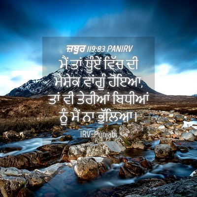 Picture 04 - ਜ਼ਬੂਰ 119:83 PANIRV - ਮੈਂ ਤਾਂ ਧੂੰਏਂ ਵਿੱਚ - Bible Verse Picture