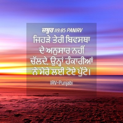 Picture 04 - ਜ਼ਬੂਰ 119:85 PANIRV - ਜਿਹੜੇ ਤੇਰੀ ਬਿਵਸਥਾ - Bible Verse Picture