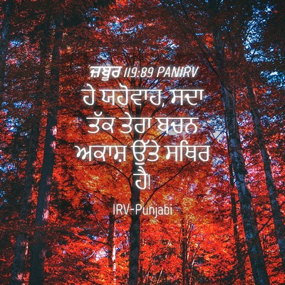 Picture 04 - ਜ਼ਬੂਰ 119:89 PANIRV - ਹੇ ਯਹੋਵਾਹ, ਸਦਾ ਤੱਕ - Bible Verse Picture
