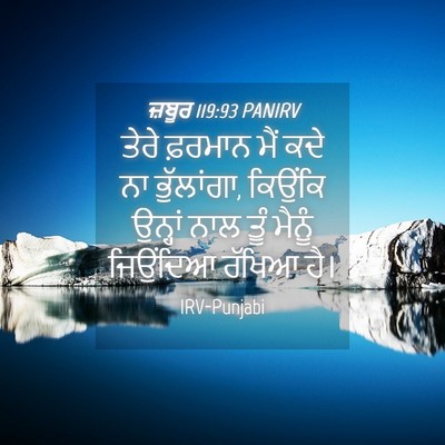 Picture 04 - ਜ਼ਬੂਰ 119:93 PANIRV - ਤੇਰੇ ਫ਼ਰਮਾਨ ਮੈਂ - Bible Verse Picture