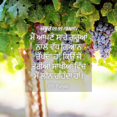 Picture 04 - ਜ਼ਬੂਰ 119:99 PANIRV - ਮੈਂ ਆਪਣੇ ਸਾਰੇ - Bible Verse Picture