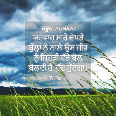 Picture 04 - ਜ਼ਬੂਰ 12:3 PANIRV - ਯਹੋਵਾਹ ਸਾਰੇ ਚੋਪੜੇ - Bible Verse Picture