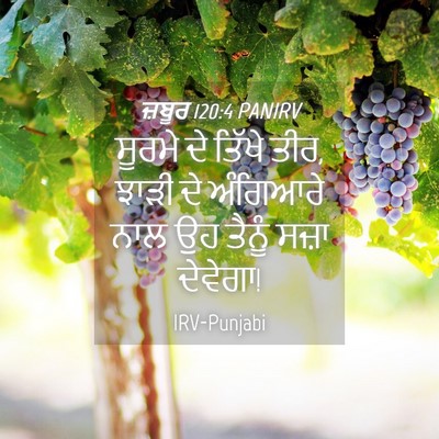 Picture 04 - ਜ਼ਬੂਰ 120:4 PANIRV - ਸੂਰਮੇ ਦੇ ਤਿੱਖੇ ਤੀਰ, - Bible Verse Picture