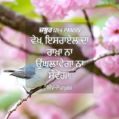 Picture 04 - ਜ਼ਬੂਰ 121:4 PANIRV - ਵੇਖ, ਇਸਰਾਏਲ ਦਾ - Bible Verse Picture